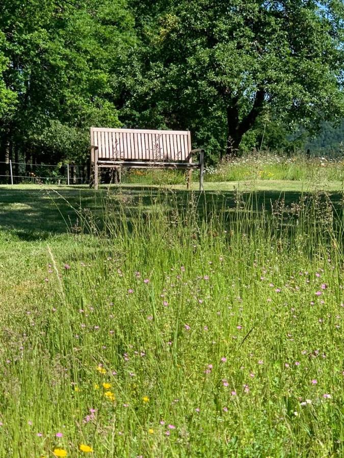 Urlaub Mit Hund Auf Dem Bauernhof Hofswald Διαμέρισμα Euscheid Εξωτερικό φωτογραφία