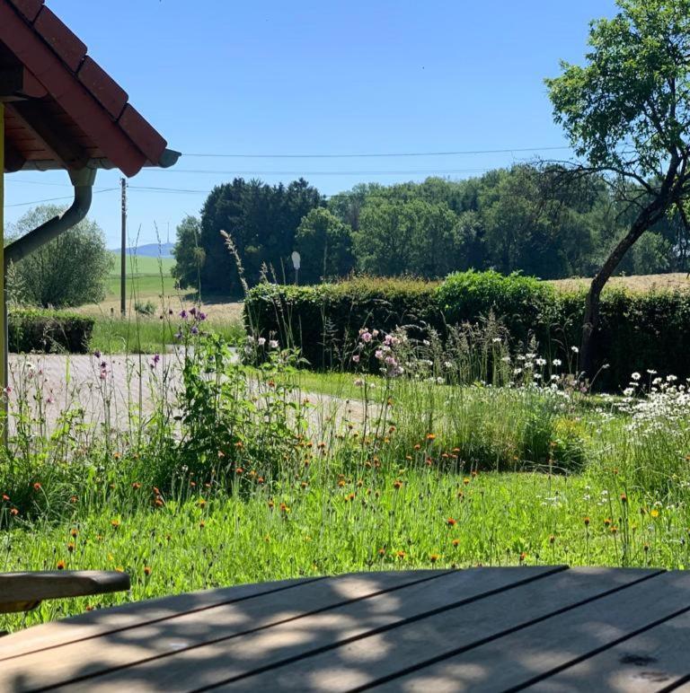 Urlaub Mit Hund Auf Dem Bauernhof Hofswald Διαμέρισμα Euscheid Εξωτερικό φωτογραφία