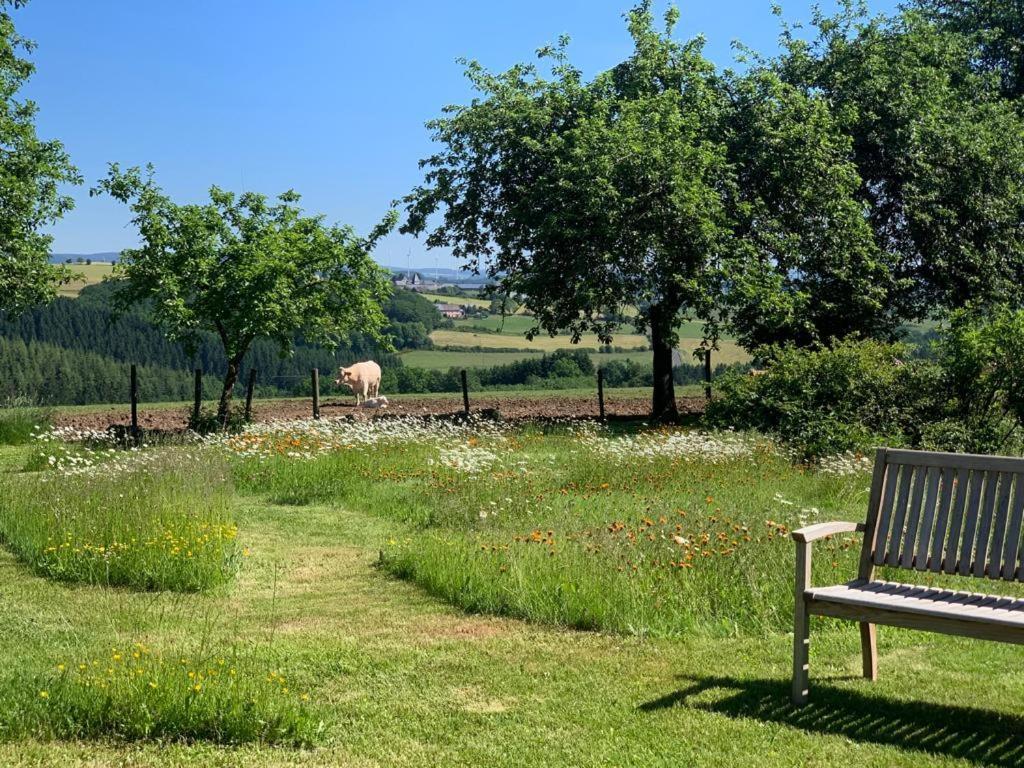 Urlaub Mit Hund Auf Dem Bauernhof Hofswald Διαμέρισμα Euscheid Εξωτερικό φωτογραφία