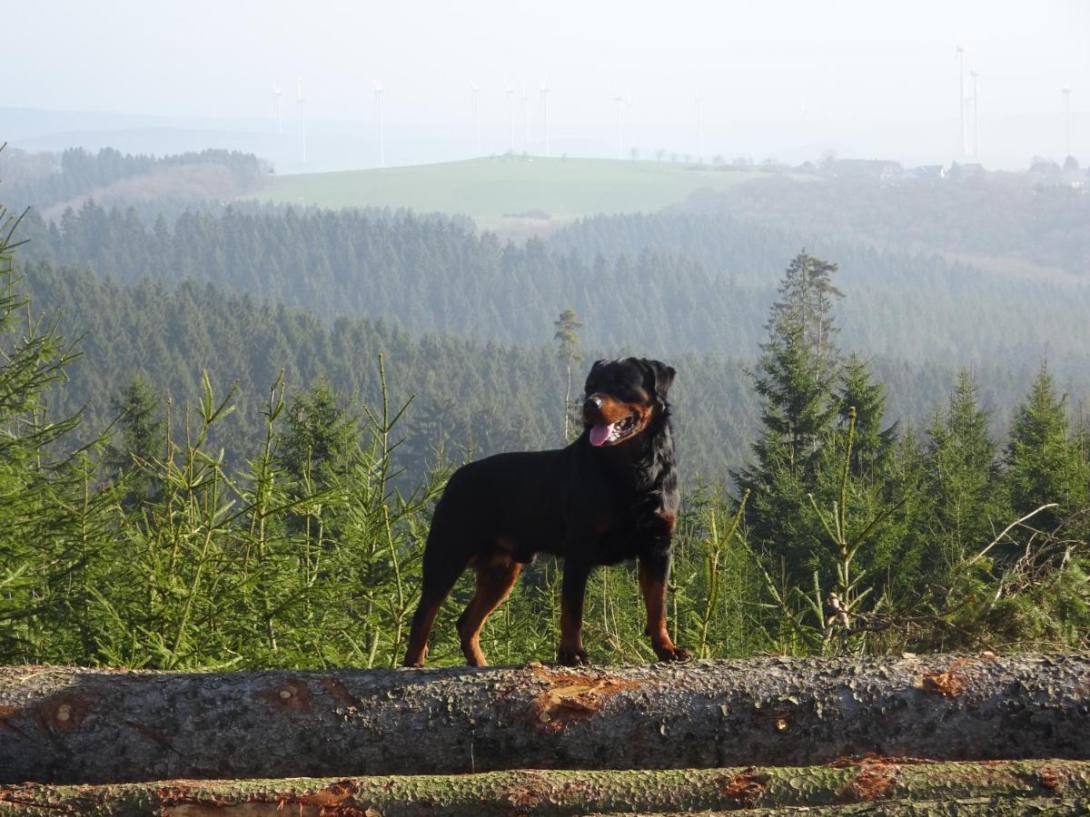 Urlaub Mit Hund Auf Dem Bauernhof Hofswald Διαμέρισμα Euscheid Εξωτερικό φωτογραφία