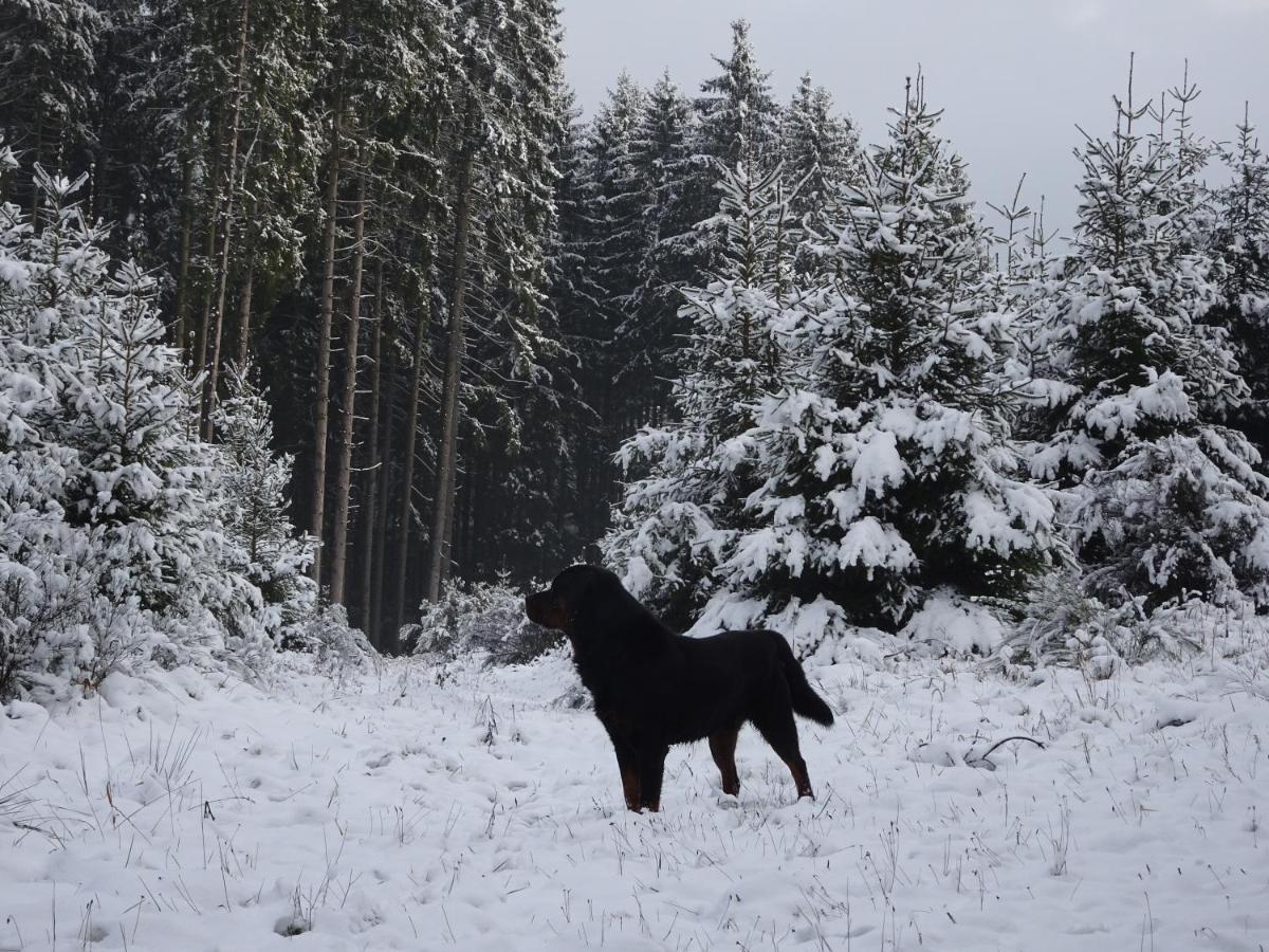 Urlaub Mit Hund Auf Dem Bauernhof Hofswald Διαμέρισμα Euscheid Εξωτερικό φωτογραφία